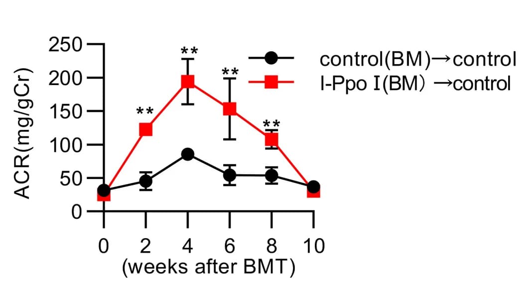 Open access visualization of Line Plot, Error Bars, Urine Albumin/Creatinine Ratio, Control, Time Course