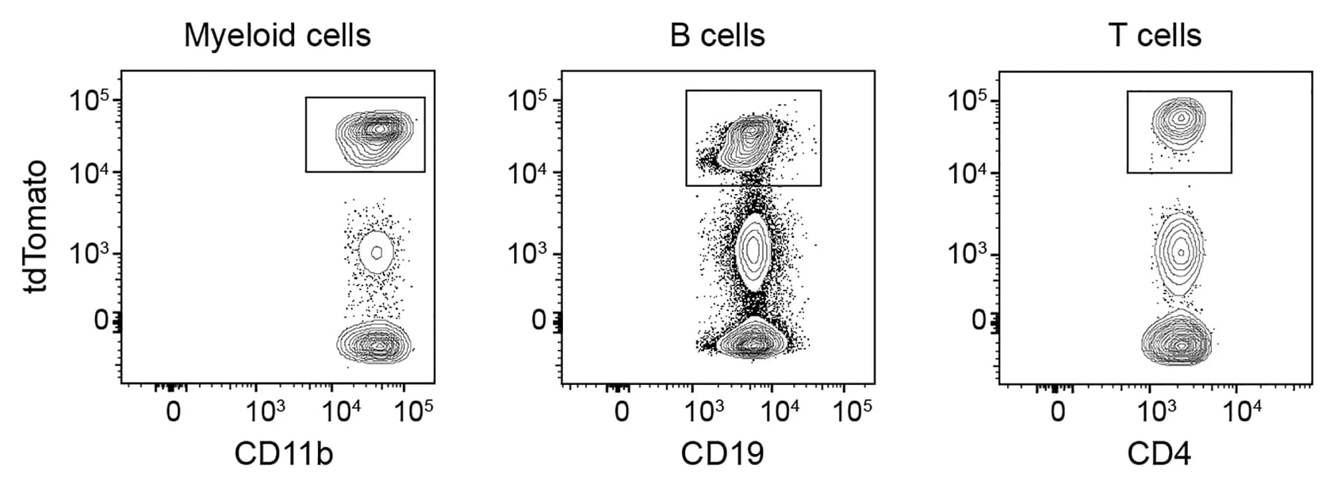Open access visualization of Scatter Plot, Gating Strategy, Blood Cell Lineages, tdTomato