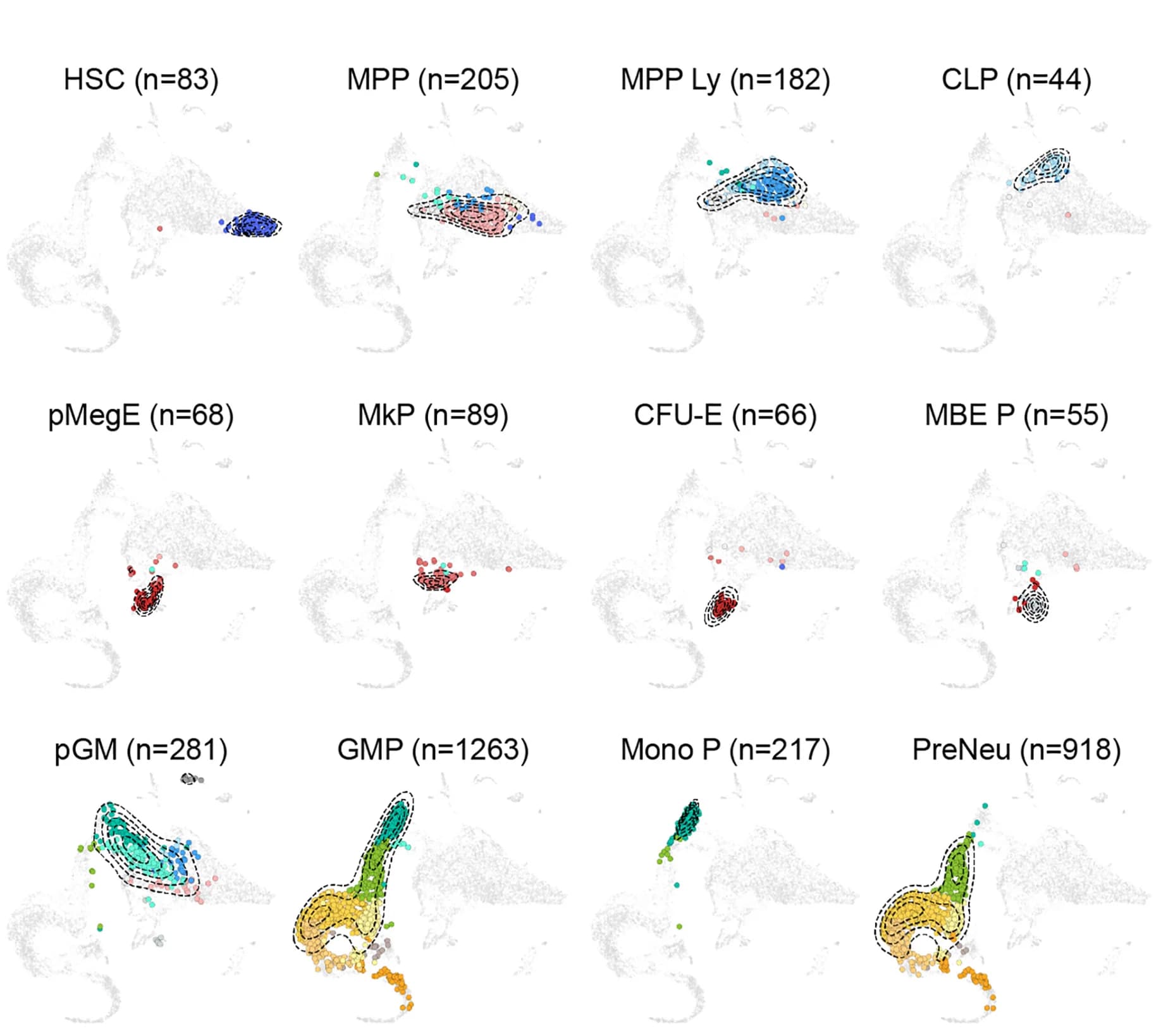 Open access visualization of Scatter Plot, Density Plot, Immunophenotype, HSPC Populations, RNA-UMAP
