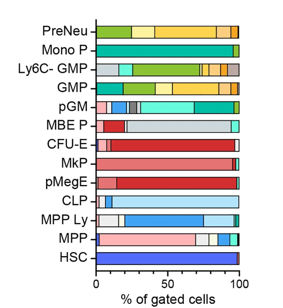Open access visualization of Stacked Bar Plot, Bar Graph, Transcriptional Clusters, Immunophenotype, HSPC Populations