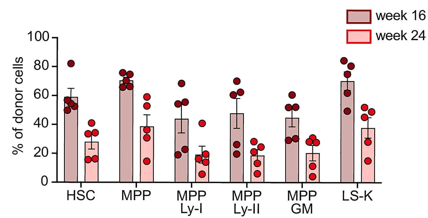 Open access visualization of Bar Plot, Error Bars, Scatter Plot, Donor-derived reconstitution, BM HSPC subsets