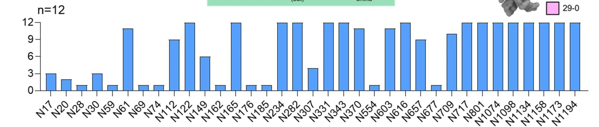 Open access visualization of Bar Plot, Sarbecovirus, NxS/T Motif, Glycopeptide, SARS-CoV-2