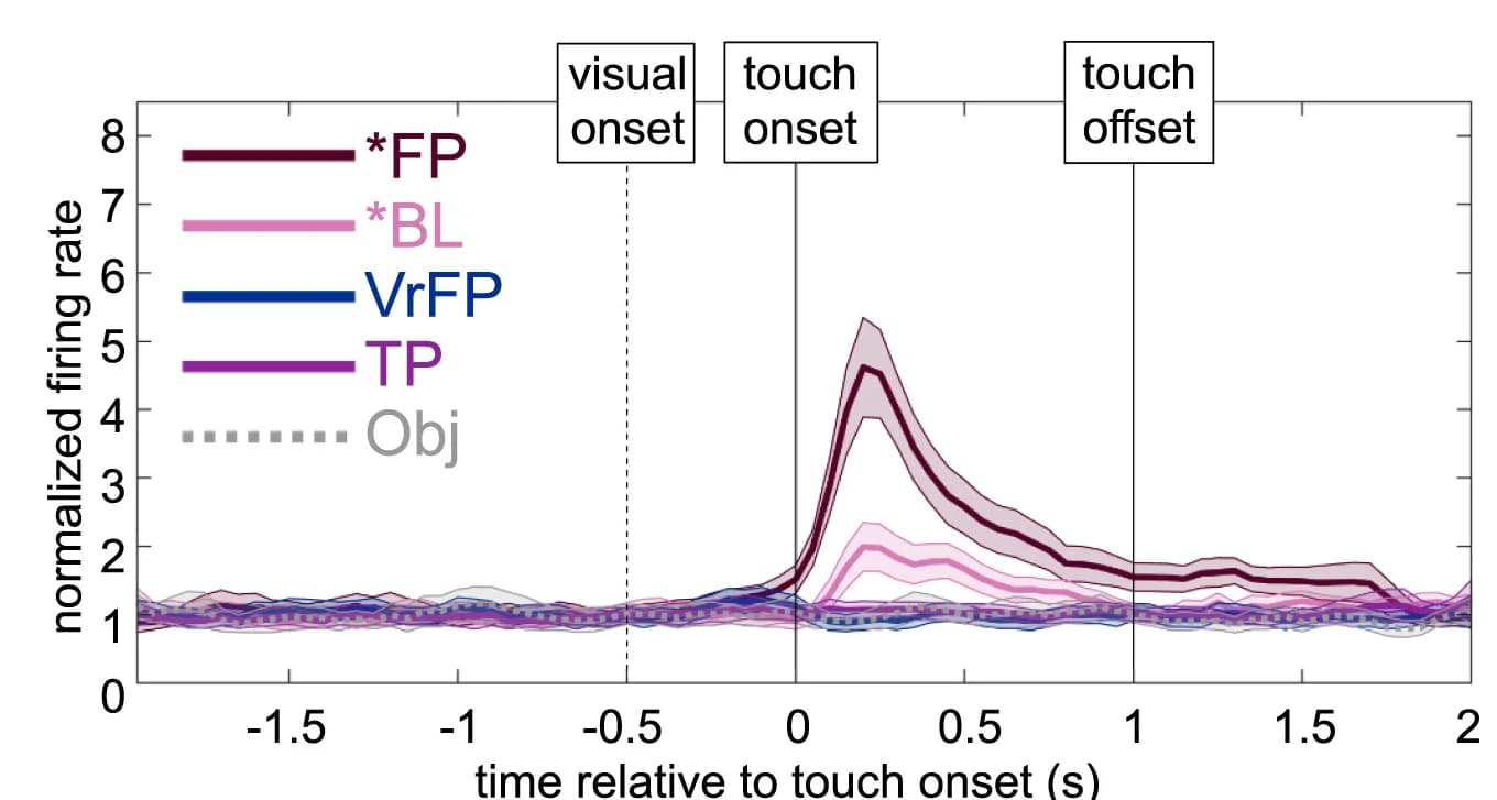 Open access visualization of Line Plot, Error Bars, Channel Activity, Touch Type, Effector