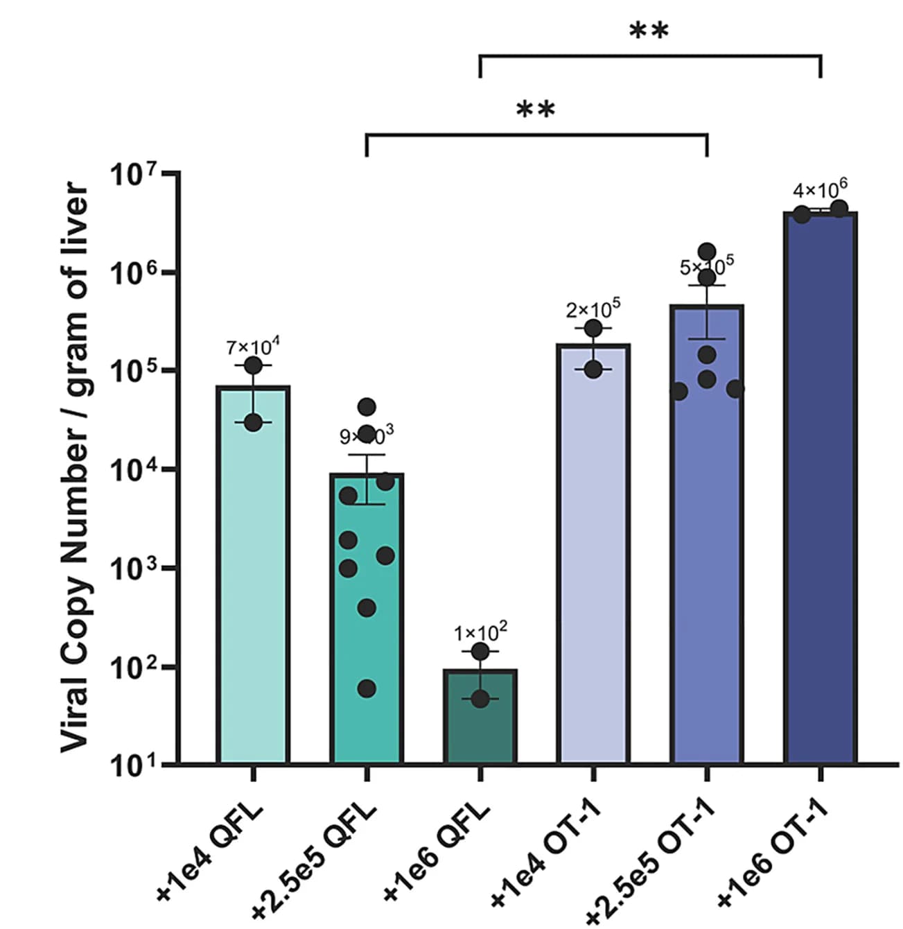 Open access visualization of Bar Plot, Error Bars, Viral Titers, Liver, Rag2/γc KO Mice