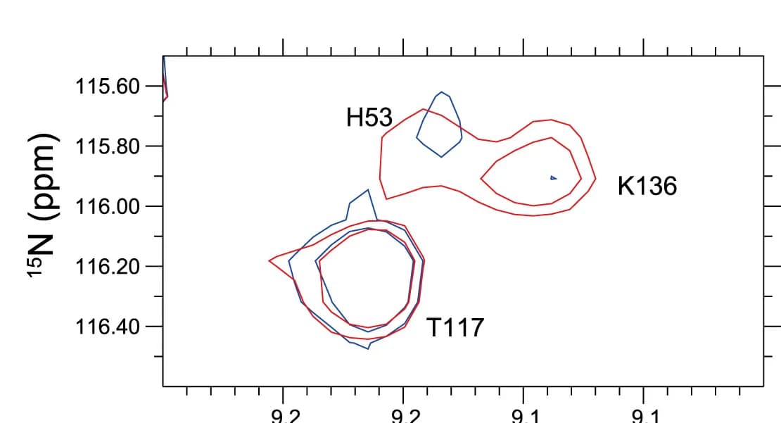 Open access visualization of Scatter Plot, 1H-15N-HSQC Spectrum, BTN3A1-IgV, BTN2A1-IgV, NMR