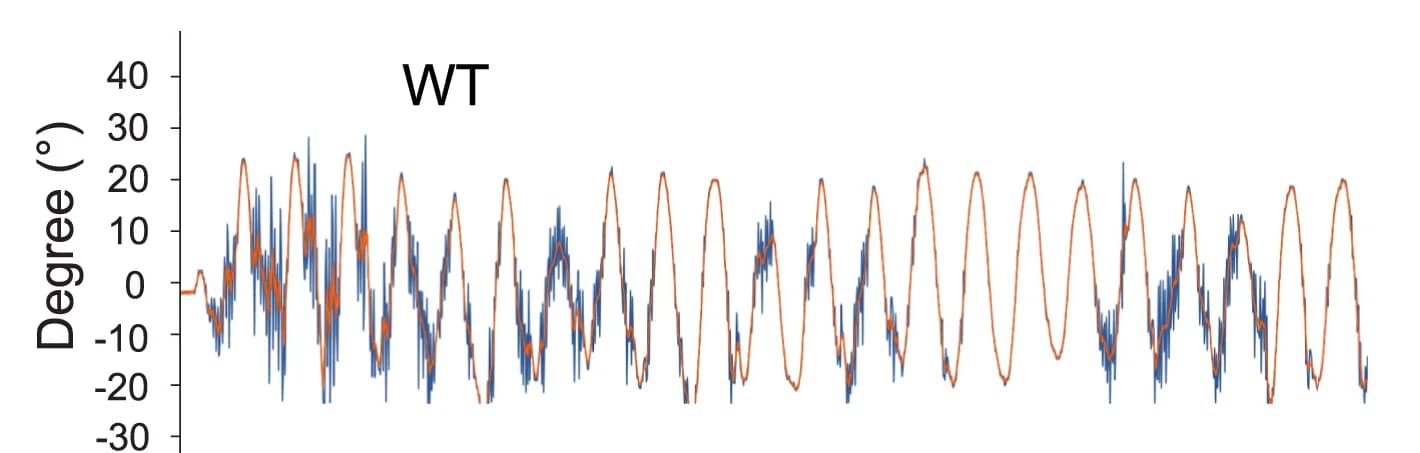 Open access visualization of Line Plot, Tail movements, Larvae, Raw traces