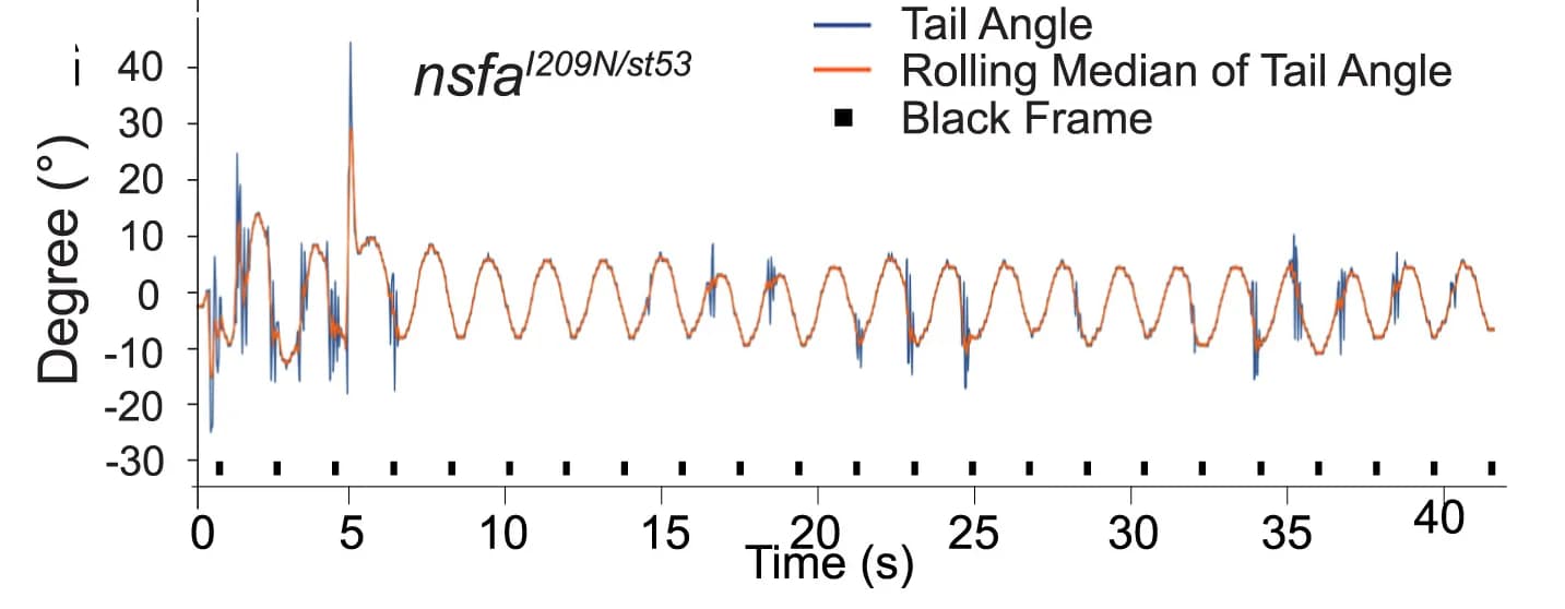 Open access visualization of Line Plot, Line Step, Tail movements, Larvae, Raw traces