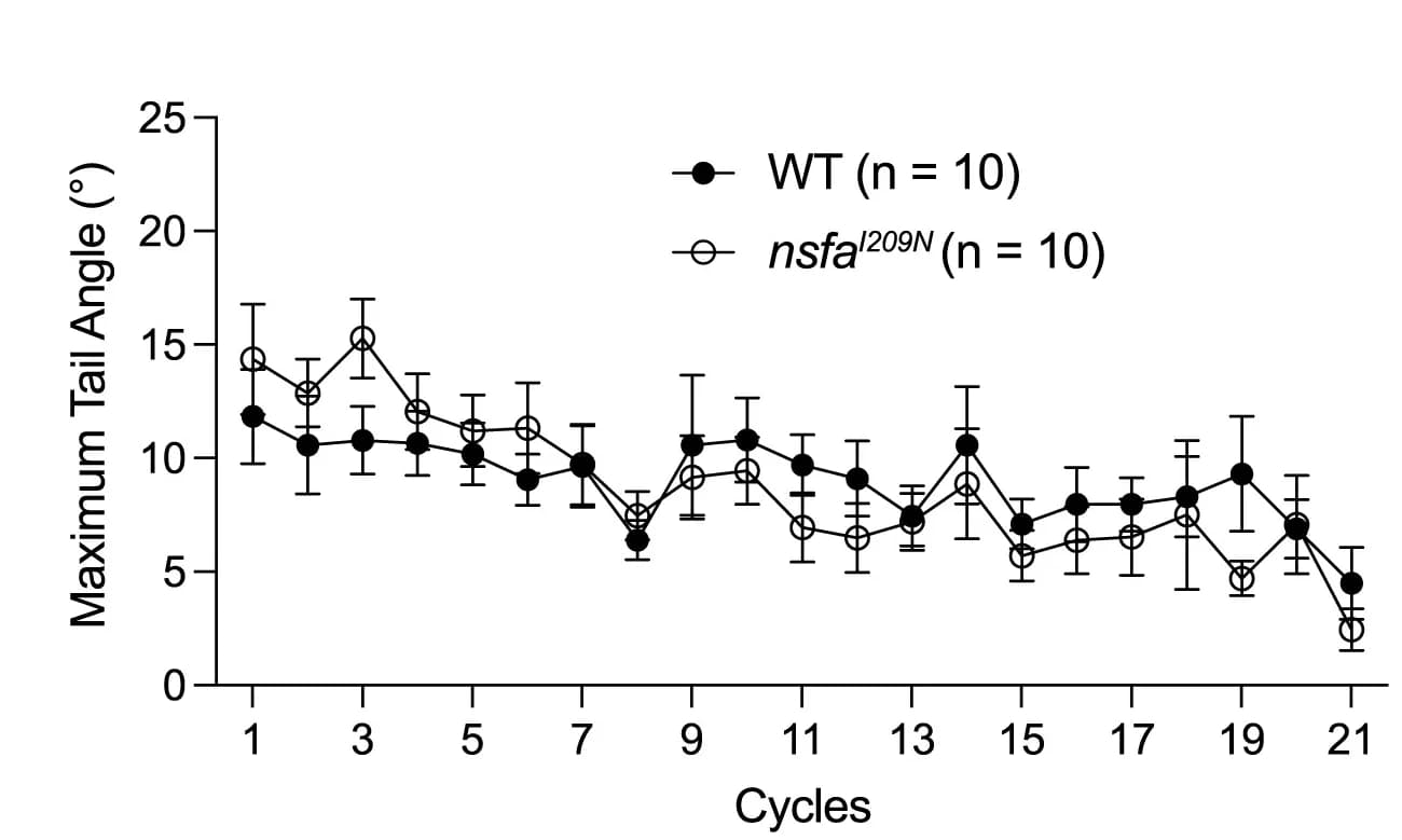 Open access visualization of Line Plot, Error Bars, Tail angle, Normalized integral, ZebraZoom