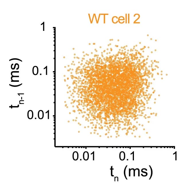 Open access visualization of Scatter Plot, Recurrence Plots, Spikes, Mutant Neurons