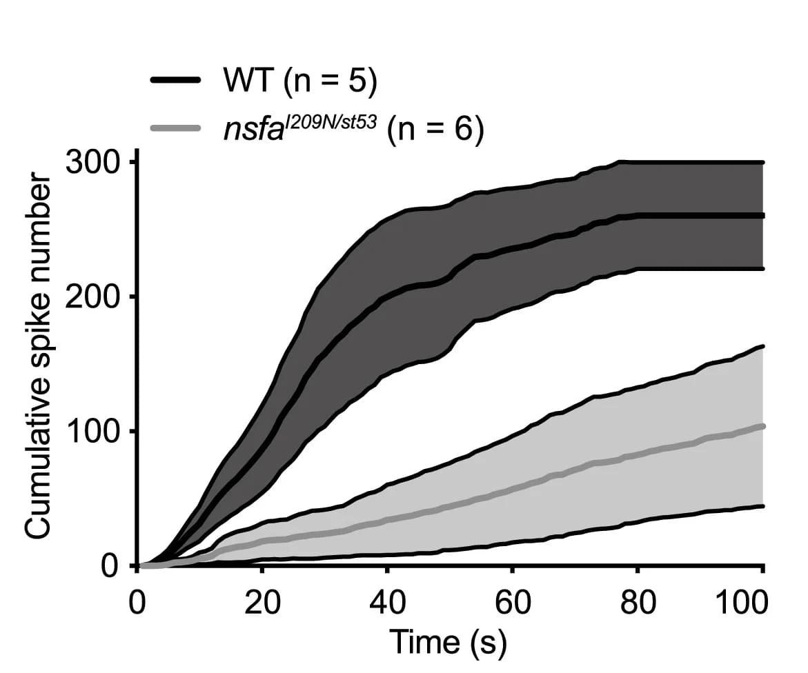 Open access visualization of Line Plot, Error Bars, Spontaneous Spike Rate, Stimulation