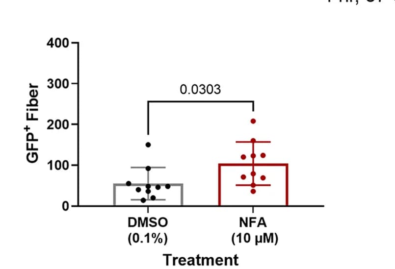 Open access visualization of Bar Plot, Error Bars, Scatter Plot, Engraftment Efficiency, Mouse Satellite Cells