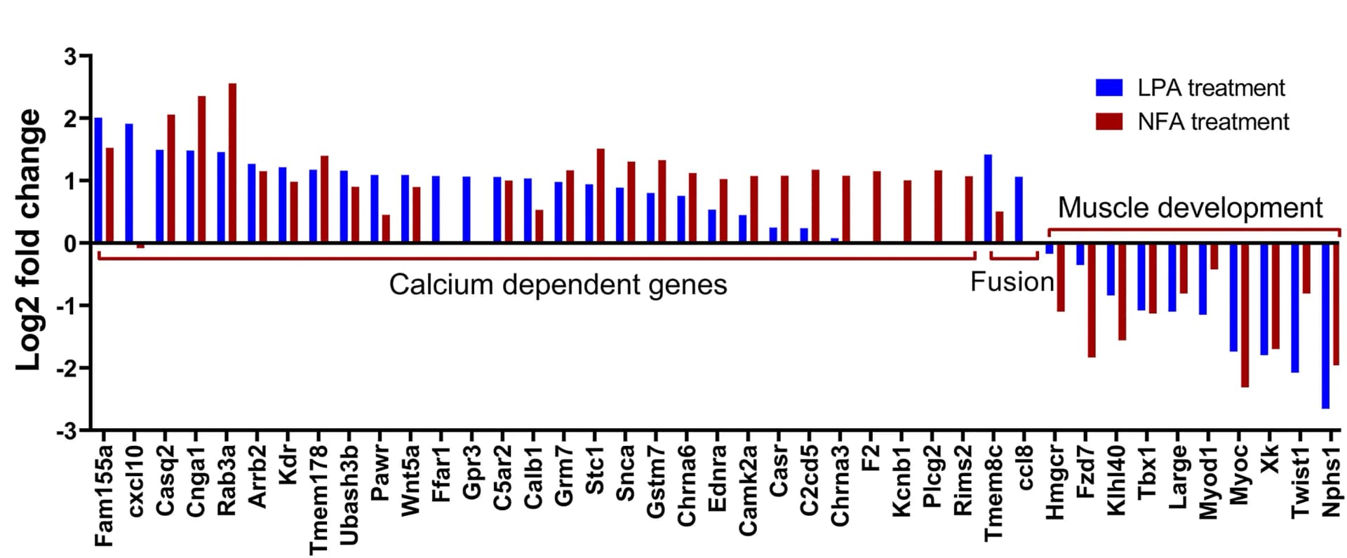 Open access visualization of Bar Plot, Clustered, Log2fold change, Gene expression, LPA-treated mouse muscle stem cells