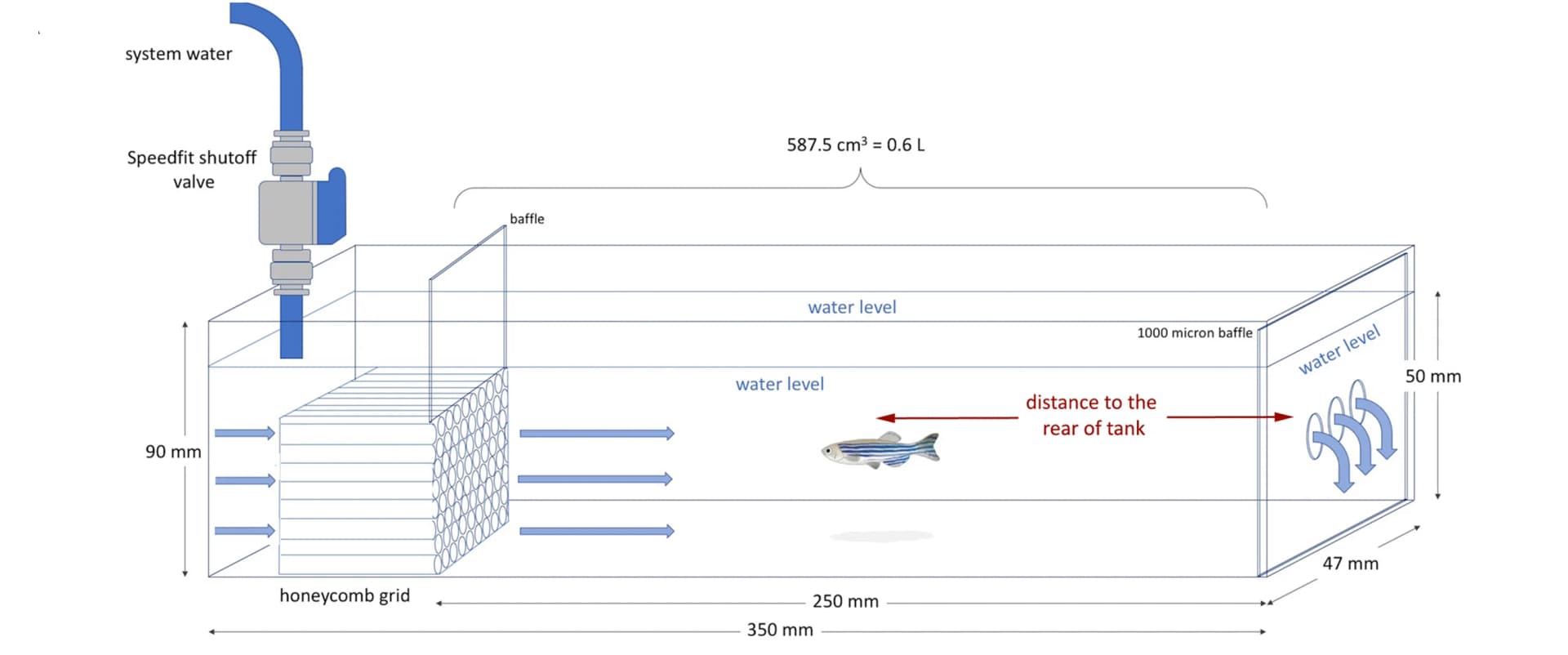 Open access visualization of Illustration, Swimming Chamber, Analysis Strategy