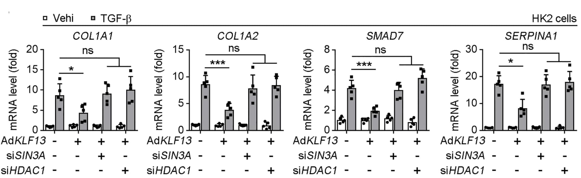 Open access visualization of Bar Plot, Error Bars, HK2 Cells, AdKLF13, siRNASIN3A