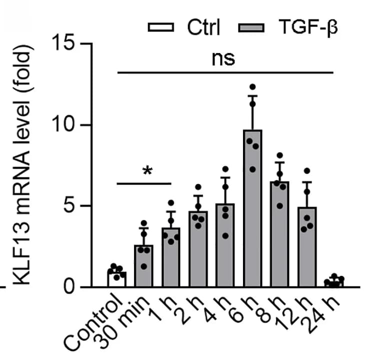 Open access visualization of Bar Plot, Error Bars, KLF13, mRNA levels, HK2 cells