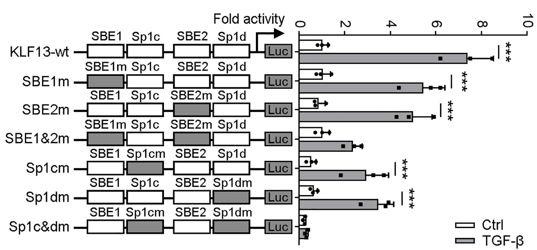 Open access visualization of Bar Plot, Error Bars, SP1 sites, SBEs, Mutated