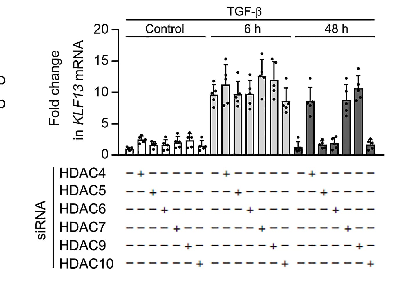 Open access visualization of Bar Plot, Error Bars, mRNA, KLF13, HK2 Cells