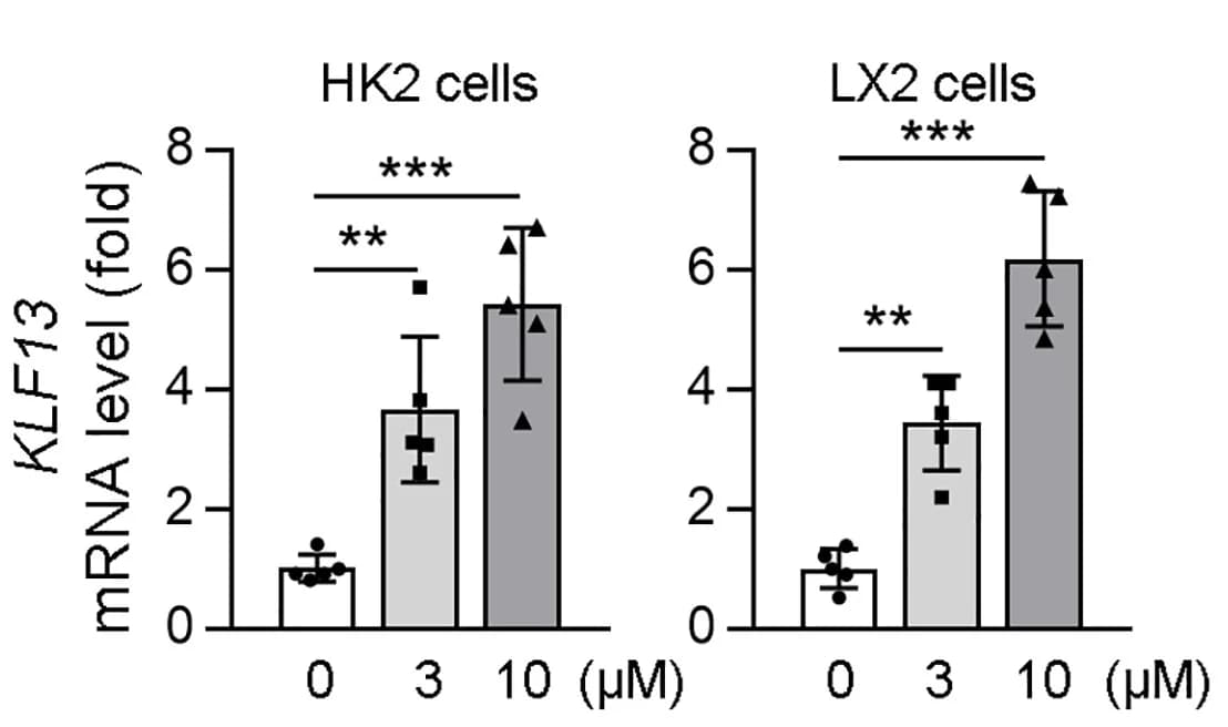 Open access visualization of Bar Plot, Error Bars, mRNA levels, qPCR, KLF13