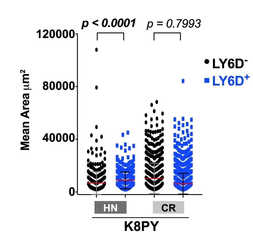 Open access visualization of Scatter Plot, Organoid Growth, K8PY Luminal Prostate Cells, T-test