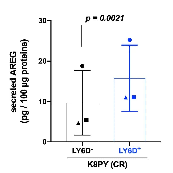 Open access visualization of Bar Plot, Error Bars, CM-secreted AREG, YFP+LY6D+ organoids, YFP+LY6D- organoids