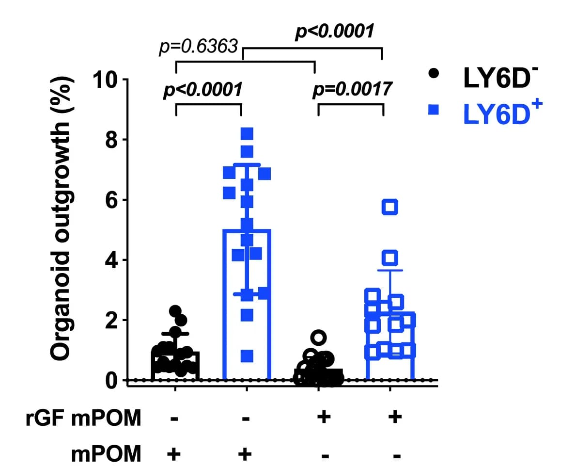 Open access visualization of Scatter Plot, Error Bars, Organoid outgrowth, Organoid count, LY6D+ luminal cells