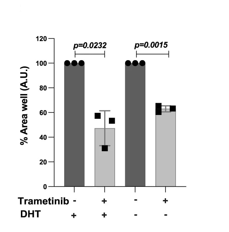 Open access visualization of Bar Plot, Error Bars, Organotypic DVL3 Cultures Quantification, Treatment Effect, Covered Area Percentage