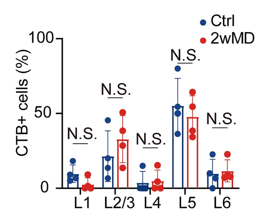 Open access visualization of Bar Plot, Error Bars, Scatter Plot, Quantification, Cell Density