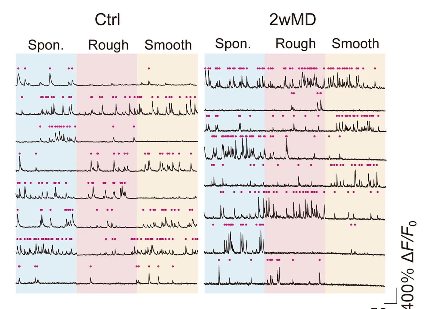 Open access visualization of Line Plot, Scatter Plot, V2L Neurons, Control Mice, 2wMD Mice