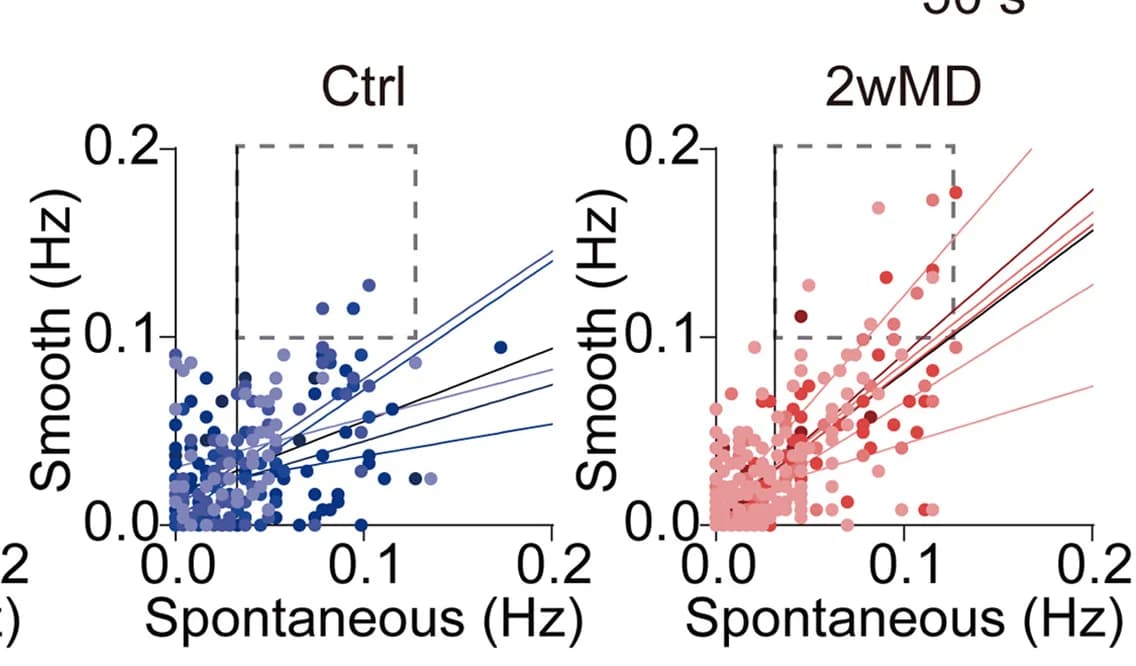 Open access visualization of Scatter Plot, Regression Plot, Calcium Transients, Smooth Sandpaper, Whisker Stimulation