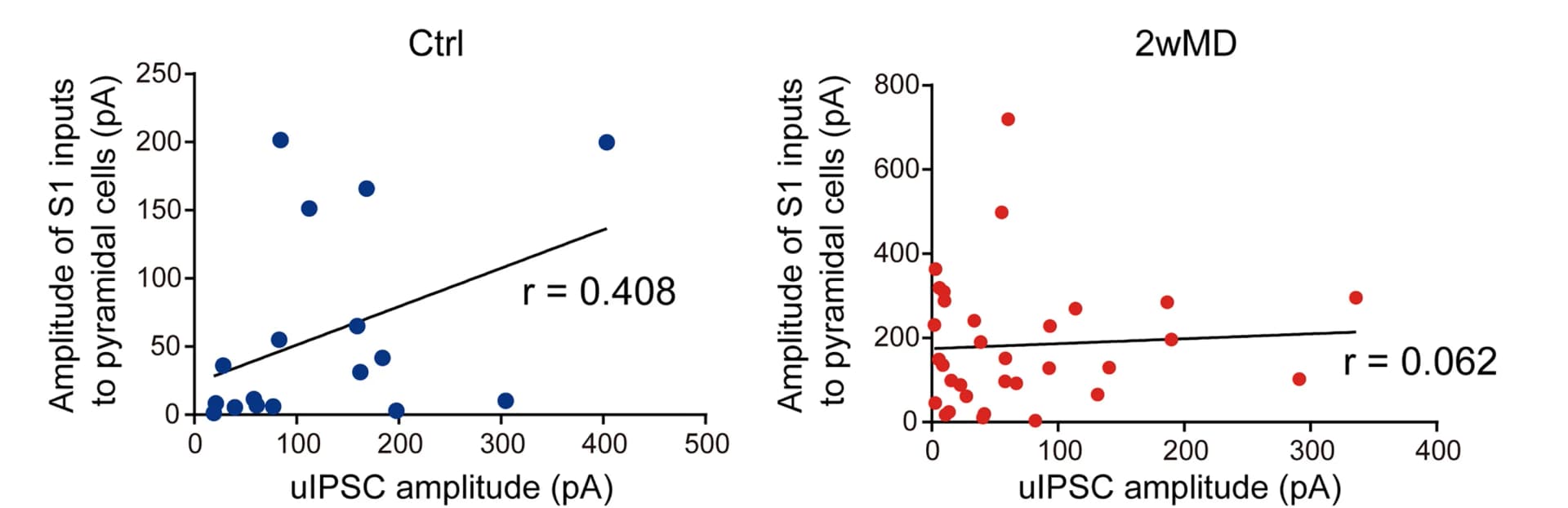 Open access visualization of Scatter Plot, Regression Plot, Synaptic Currents, V2L, Pyr Neurons