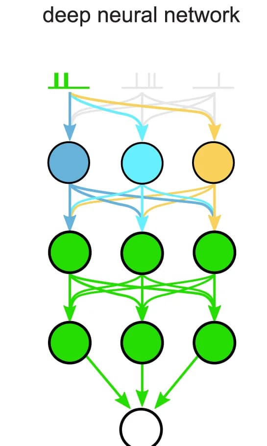 Open access visualization of Network, Pathway, Deep Neural Network, DNN, Spike Train