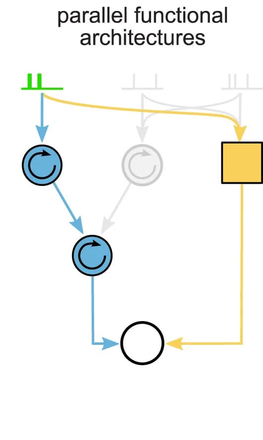 Open access visualization of Workflow, Flowchart, Parallel Architectures, Spike Train, Functional Architecture