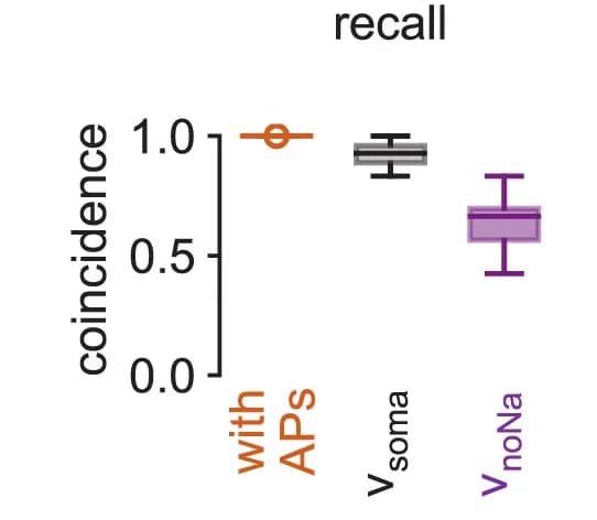 Open access visualization of Box Plot, Line Plot, Error Bars, Decoding Accuracy, Spike Coincidence