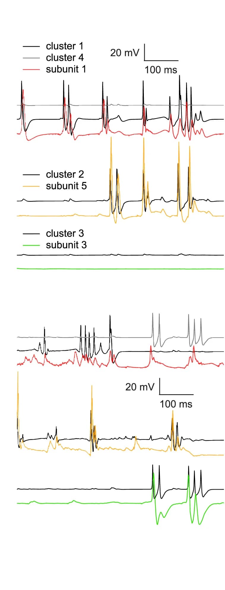 Open access visualization of Line Plot, Dendritic Branches, Subunit Activations, Subunits, Cluster Arrangement
