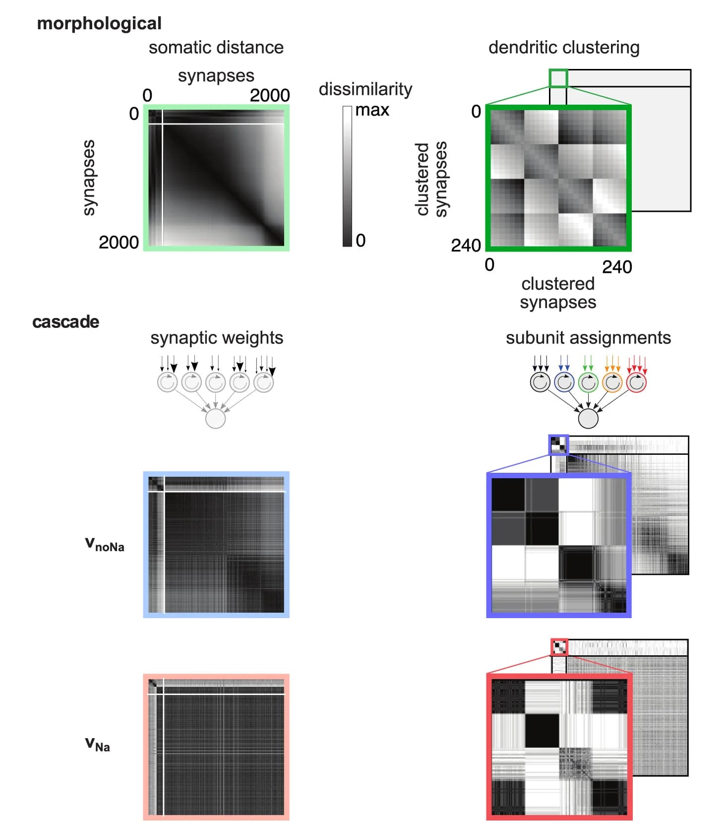 Open access visualization of Heatmap, Clustered, Workflow, Synaptic Dissimilarity Matrix, Somatic Distance