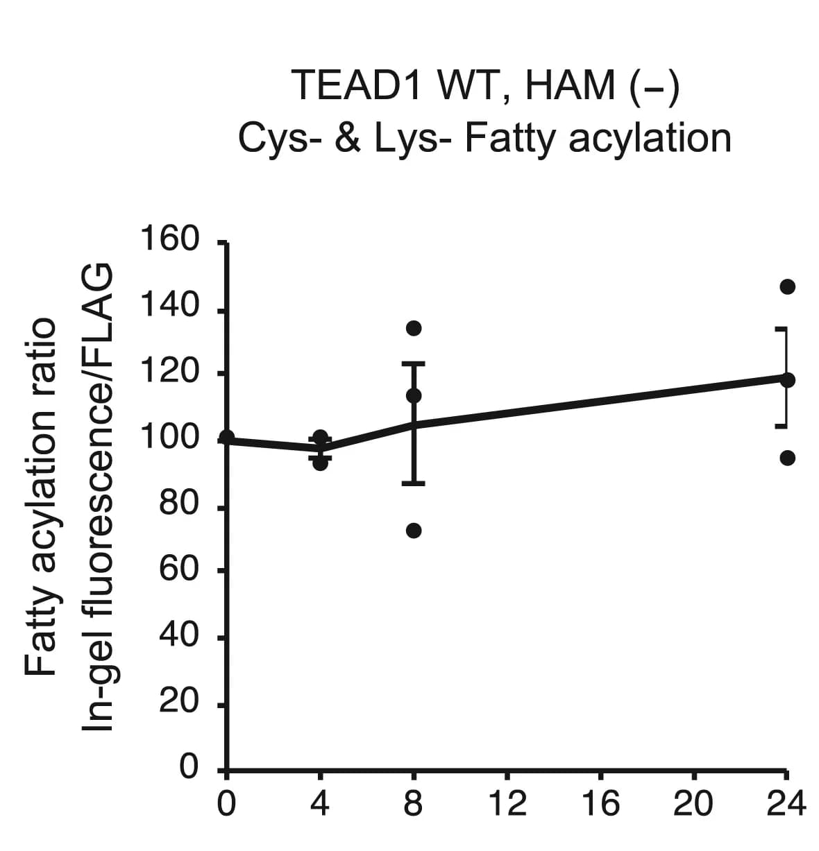 Open access visualization of Line Plot, Error Bars, Scatter Plot, Band intensities, TEAD1 WT