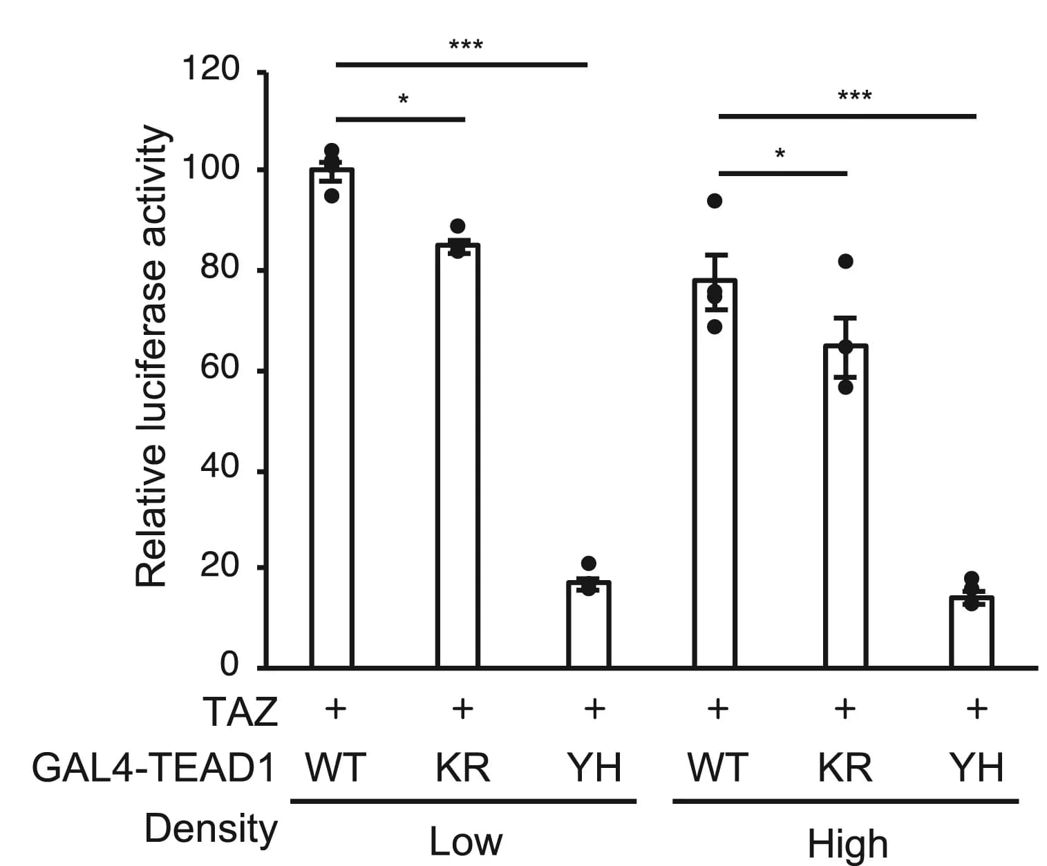 Open access visualization of Bar Plot, Error Bars, KR Mutation, TAZ, Transcriptional Activity