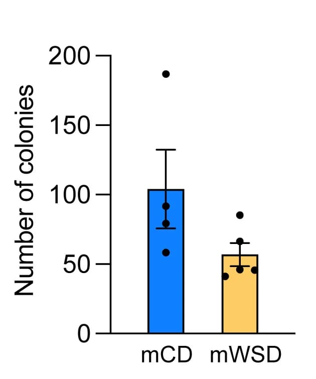Open access visualization of Bar Plot, Error Bars, Scatter Plot, Colonies, Bone marrow
