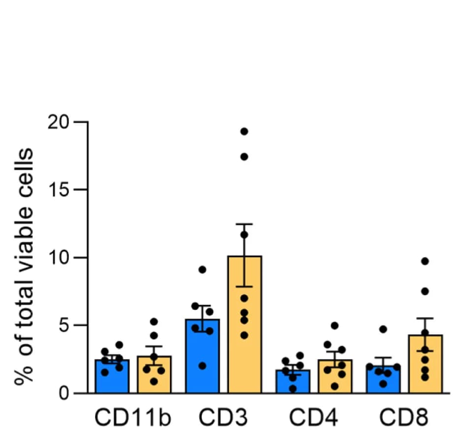 Open access visualization of Bar Plot, Error Bars, Scatter Plot, Bone marrow, CD11b+ cells