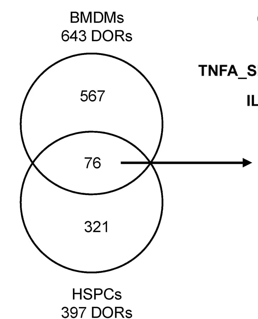 Open access visualization of Venn Diagram, DORs, mWSD, mCD, HSPCs