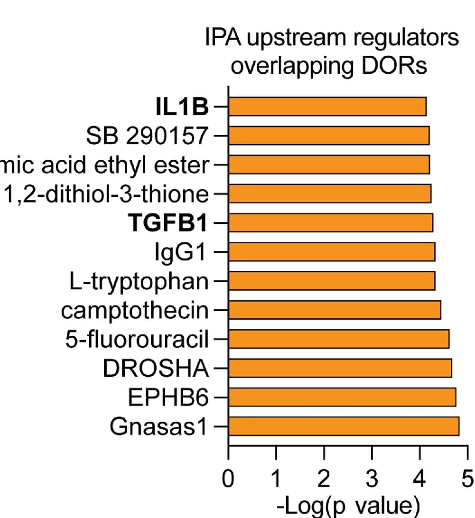 Open access visualization of Bar Plot, IPA, DORs, Upstream Regulators, mCD