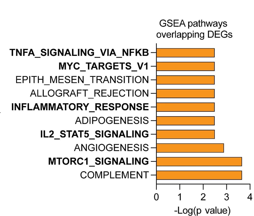 Open access visualization of Bar Plot, GSEA, Pathway Analysis, DEGs, HSPCs