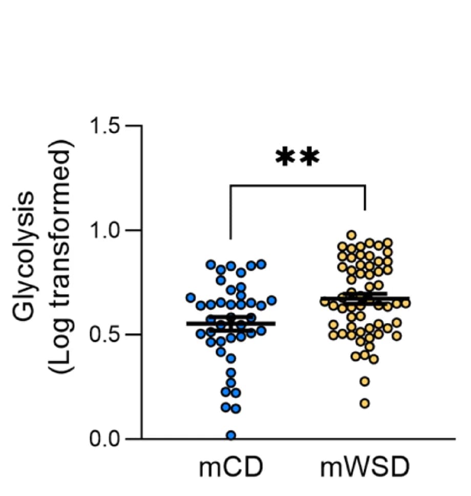 Open access visualization of Scatter Plot, Glycolytic Index, Liver, HSPCs, mCD