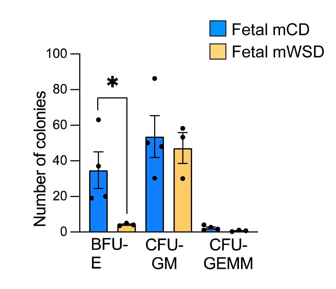 Open access visualization of Bar Plot, Error Bars, Clustered, Colony Count, Bone Marrow