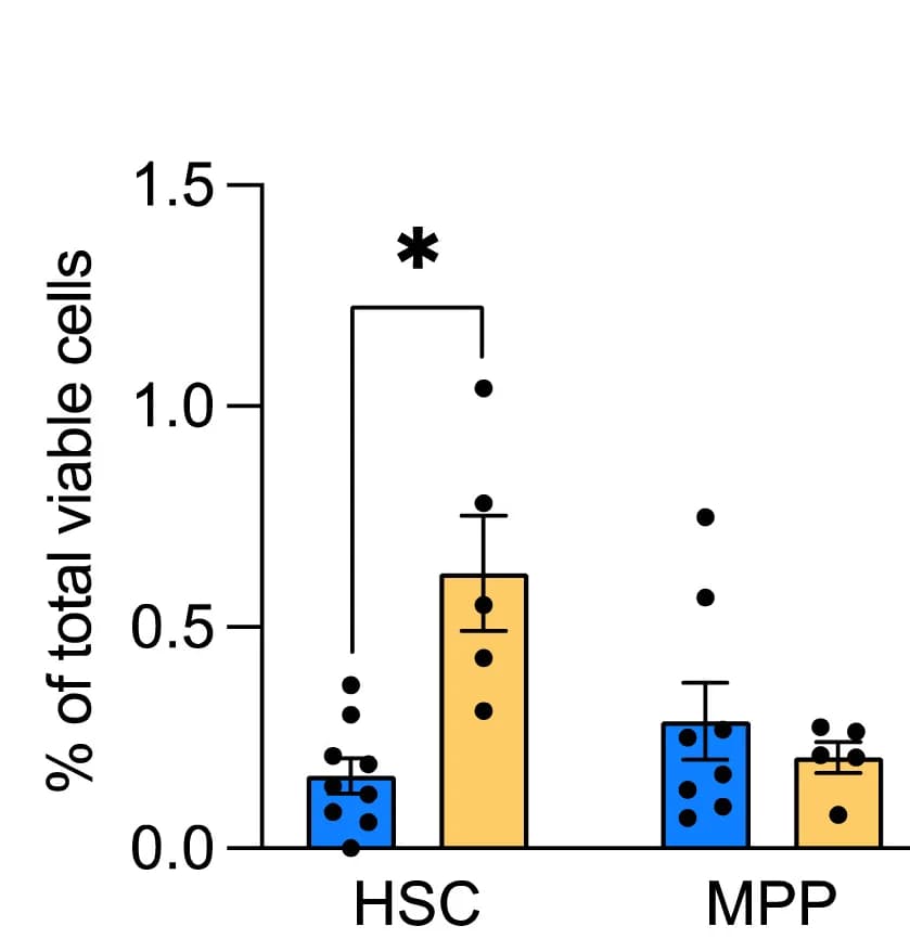 Open access visualization of Bar Plot, Error Bars, Scatter Plot, HSCs, MPPs