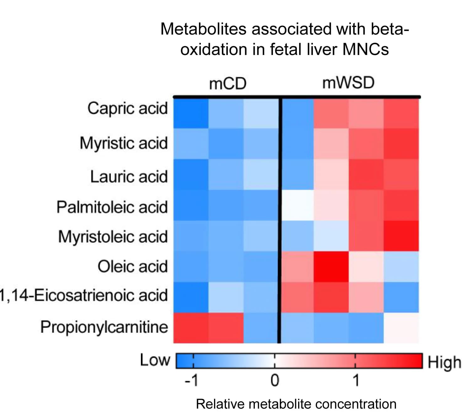 Open access visualization of Heatmap, Metabolites, Beta-Oxidation, Liver MNCs