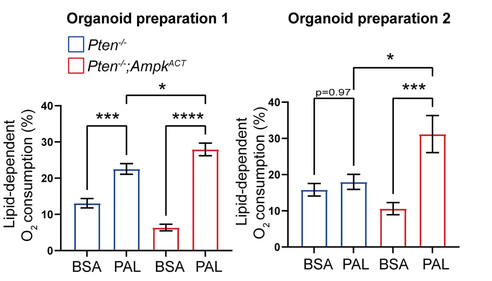 Open access visualization of Bar Plot, Error Bars, Clustered, Lipid-Dependent Oxygen Consumption, Prostate Organoids