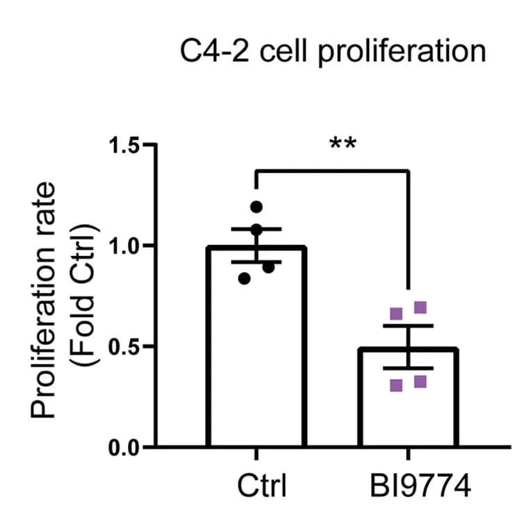Open access visualization of Bar Plot, Error Bars, Proliferation Rate, C4-2 Cells, AMPK Activator