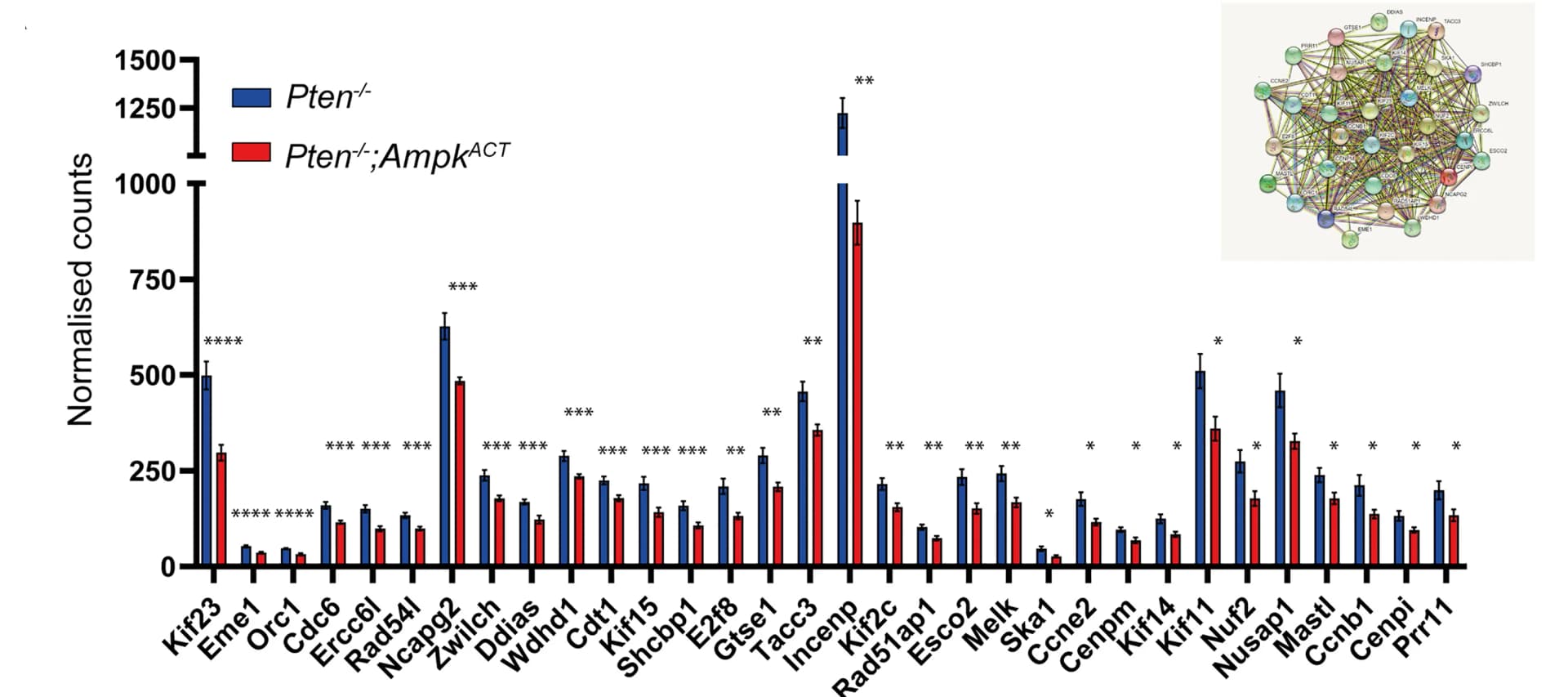 Open access visualization of Bar Plot, Error Bars, Clustered, Network, Gene Expression