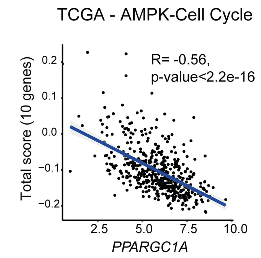 Open access visualization of Scatter Plot, Regression Plot, Gene Expression, PGC1α, PPARGC1A